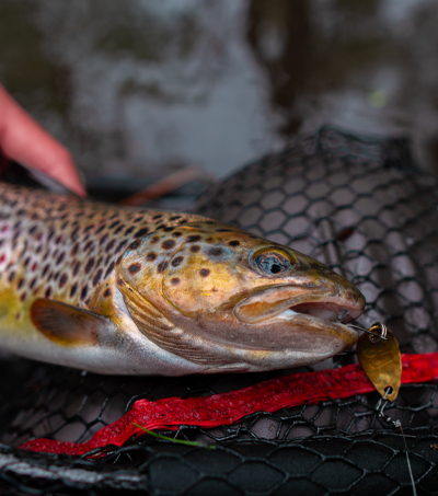 Wahadłówka Trout 3,2cm Mosiężna