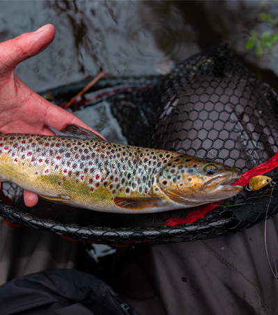 Wahadłówka Trout 3,2cm Mosiężna
