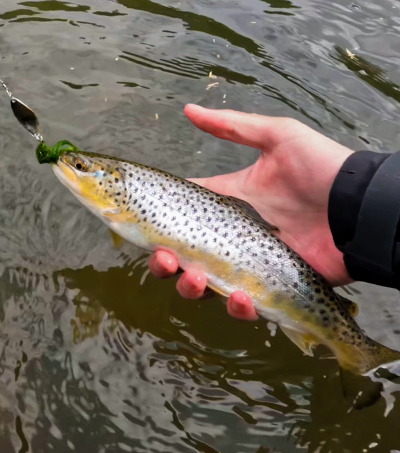 Wahadłówka Zephyr 3,3cm Kolor "Kinder"