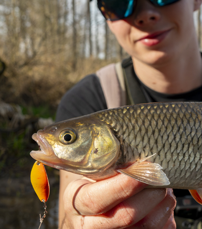 Wahadłówka Zephyr 3,3cm Kolor "Kinder"